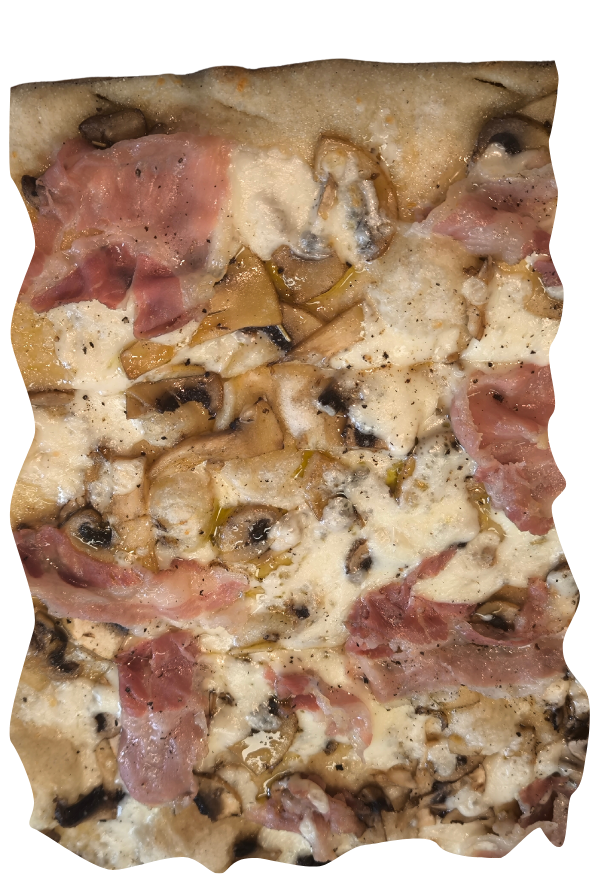 FUNGHI